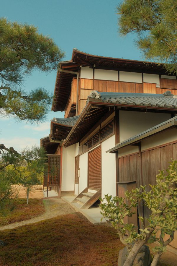 Découvrez les bienfaits du ridoki japonais pour votre peau